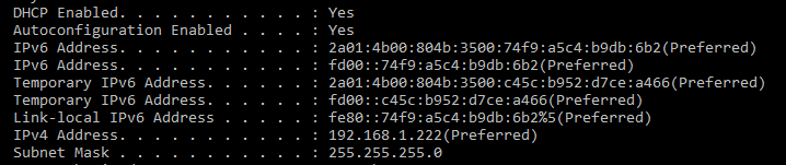 IPv6 results from ipconfig /all command